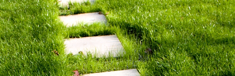 Planificarea Proiectelor