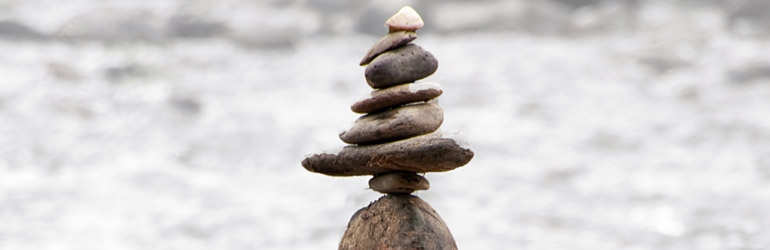 Schimbare Organizatie