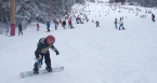 Snowboard - Poiana Brasov